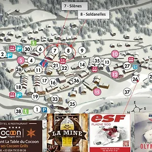 Les Silenes & Soldanelle , La Plagne France